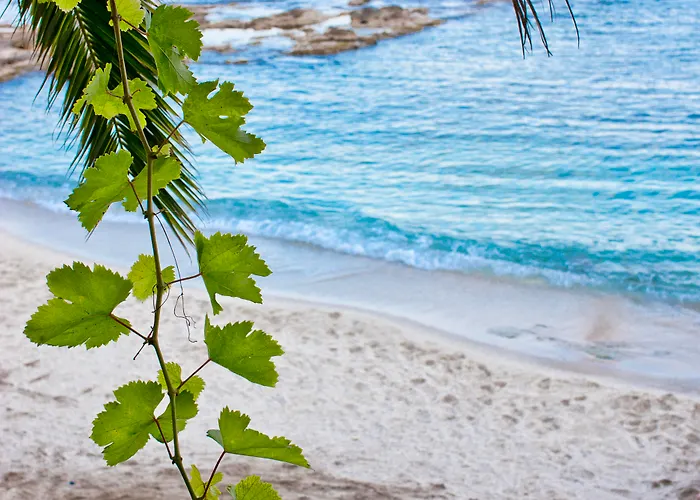 Galaxy Boutique (adults Only) 5* Hersonissos (Crete)